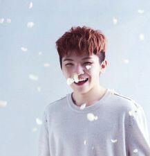 hoon